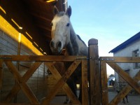 /album/jsoceanwind/a2014-01-13-14-15-47-jpg/